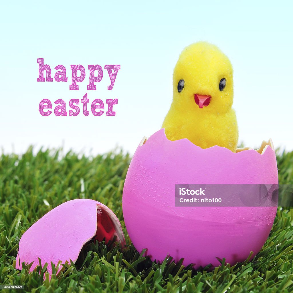 Frohe Ostern - Lizenzfrei Einzelner Gegenstand Stock-Foto