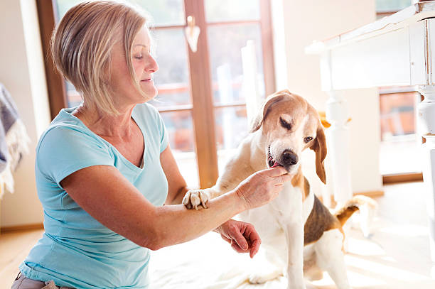 istock Senior woman with her dog 484742700