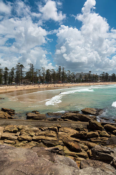 manly ビーチで晴れた日、オーストラリア - manly beach summer beach pacific ocean ストックフォトと画像