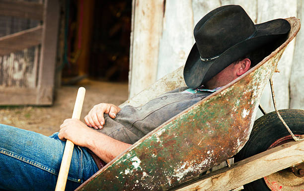 istock Cowboy resting in wheelbarrow face covered by hat 484743483