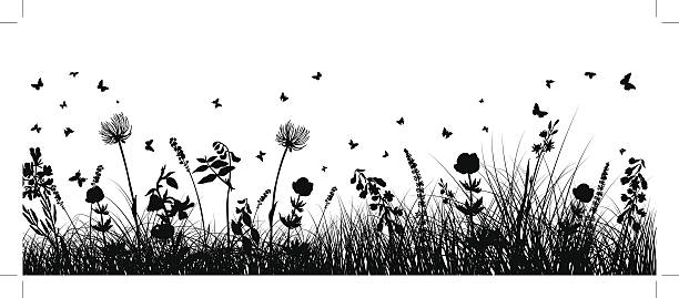 메도 배경기술 - flower bed gardening flower field stock illustrations