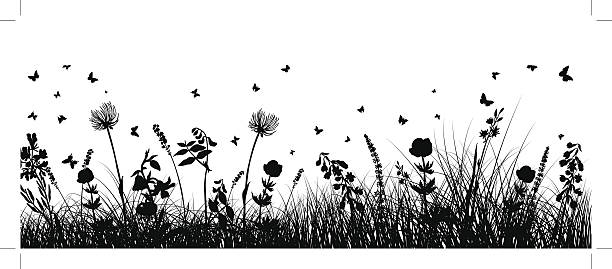meadow tle - flower bed gardening flower field stock illustrations