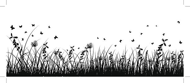 illustrations, cliparts, dessins animés et icônes de meadow arrière-plan - grass prairie silhouette meadow