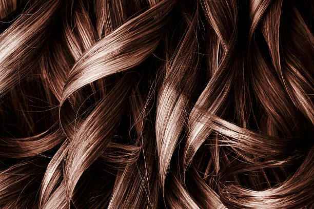 brunette cabelo encaracolado fundo - hair color dyed hair hair dye human hair imagens e fotografias de stock