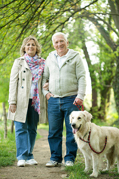 istock Senior couple walking their dog. 484746713