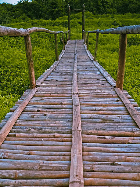 istock Wooden footbridge 484746851