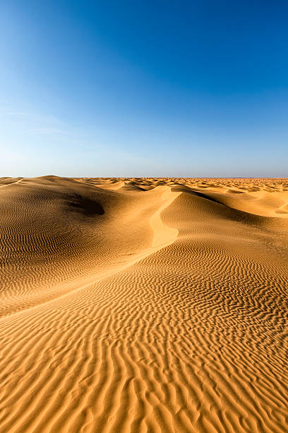 desierto del sahara, gran erg oriental, túnez - great sand sea fotografías e imágenes de stock
