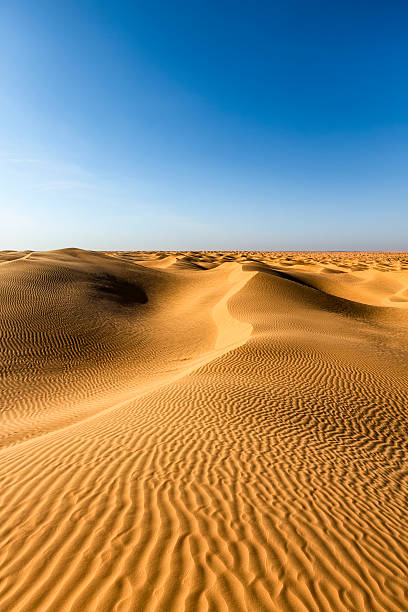 désert du sahara, grand erg oriental, tunisie - great sand sea photos et images de collection