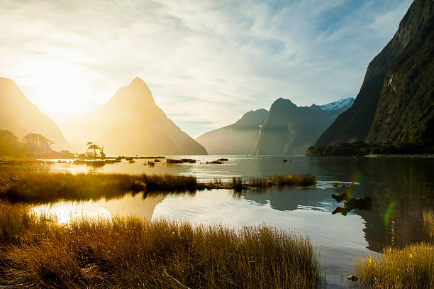 Milford Sound, South Island, New Zealand Milford Sound, South Island, New Zealand fiordland national park photos stock pictures, royalty-free photos & images