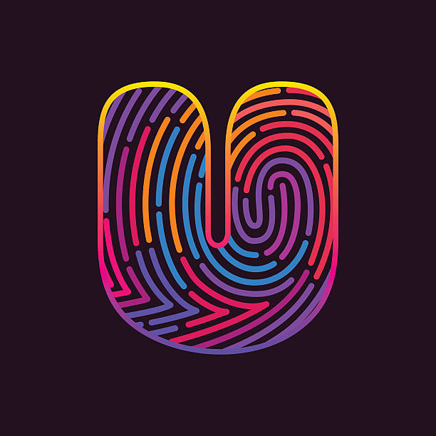 U letter line icon. Vector fingerprint design template elements. Detective, Audit or Biometric access control system vector design template elements for your application or company. letter u with words stock illustrations