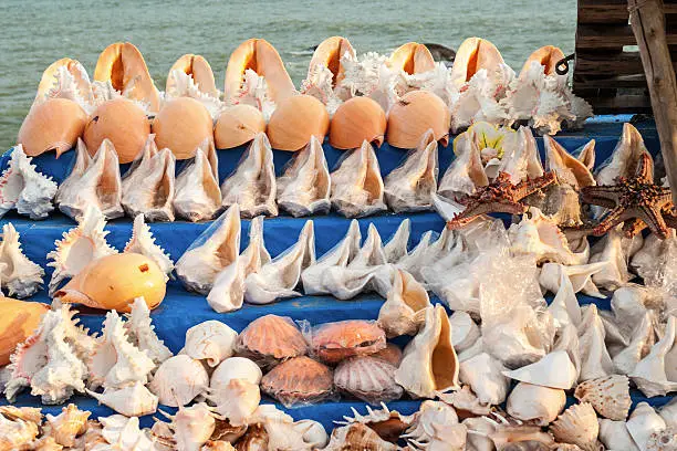 shells on sale  in Kanyakumari market,  India