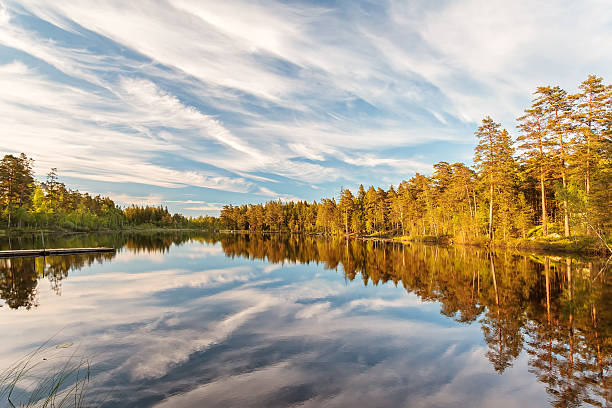 istock Reflections in a lake in Smaland, Sweden 484761500