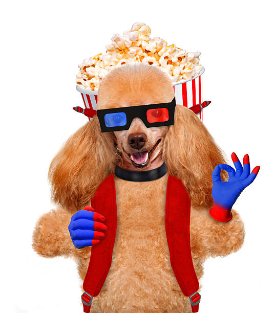 istock Dog watching a movie 484762153