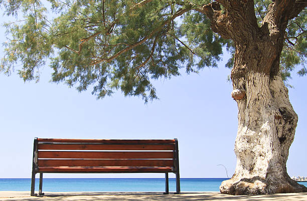 A bench under a tree in Crete