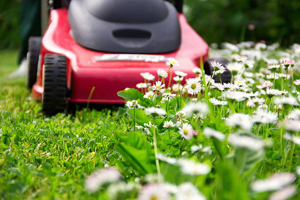 kosiarka do trawy - lawn mower red plant lawn zdjęcia i obrazy z banku zdjęć