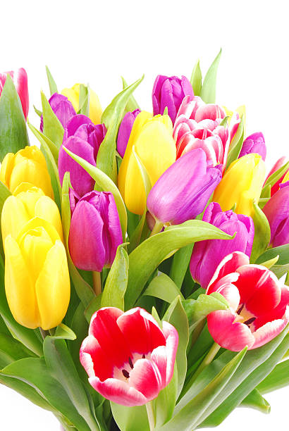 istock bouquet of tulip flowers 484763363