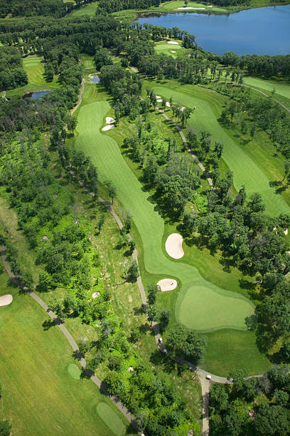 istock Aerial view of a golf course in summer 484766740