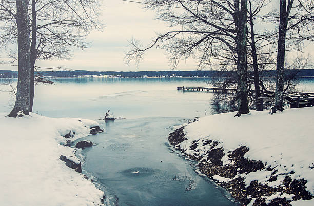istock Lake Starnberg in winter 484767382