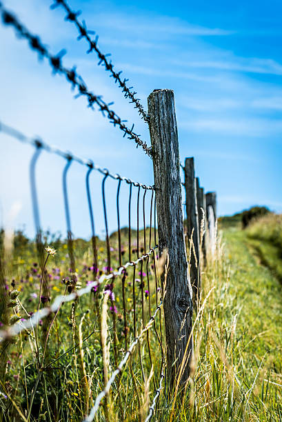 Path to the white cliffs of the coast from Dover, UK