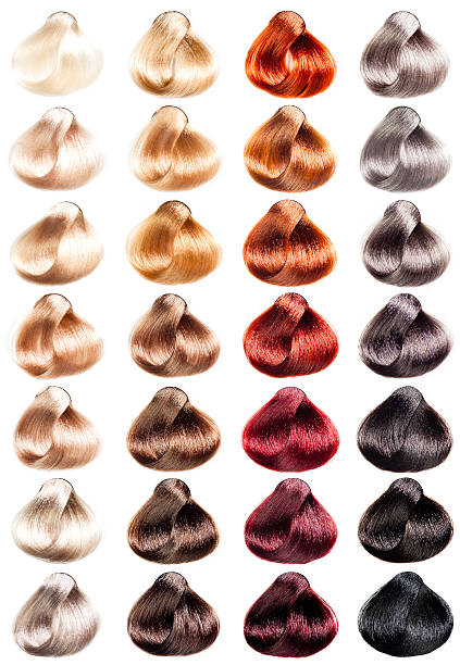Tints set. Hair Palette samples of different colors. Tints set. flaxen hair color stock pictures, royalty-free photos & images