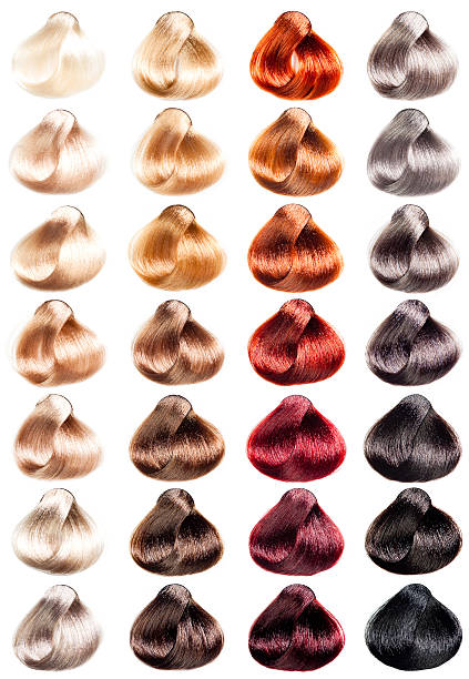 Tints set. Hair Palette samples of different colors. Tints set. hair colour stock pictures, royalty-free photos & images