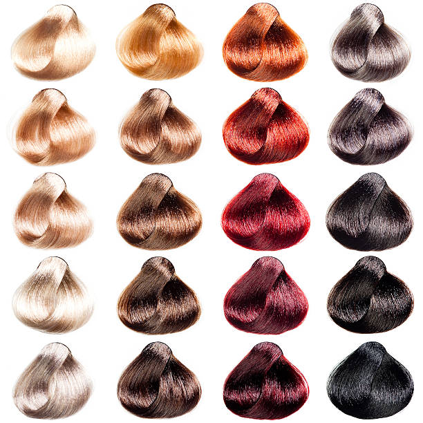 Hair Palette Samples Of Different Colors Stock Photo - Download Image Now -  Color Image, Colors, Hair Dye - iStock