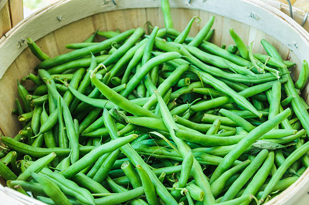 frijoles verdes frescas - august cape cod massachusetts new england fotografías e imágenes de stock