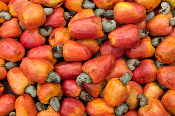 Caju brasileño frutas - foto de stock