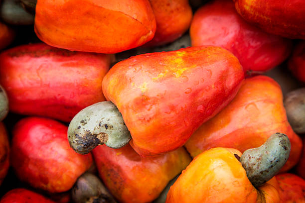 istock Brazilian cashew fruit 484775620