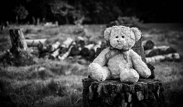 istock Abandoned in Woodland 484778266