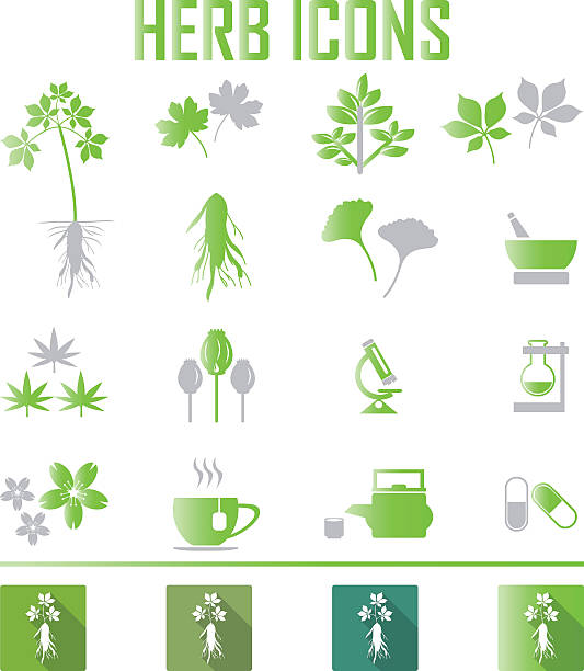 herb icons. ilustracja wektorowa eps 10 - herbal medicine ginkgo herb capsule stock illustrations