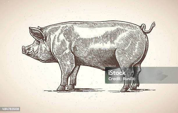 Schwein In Graphic Image Stock Vektor Art und mehr Bilder von Schwein - Schwein, Schweinefleisch, Illustration