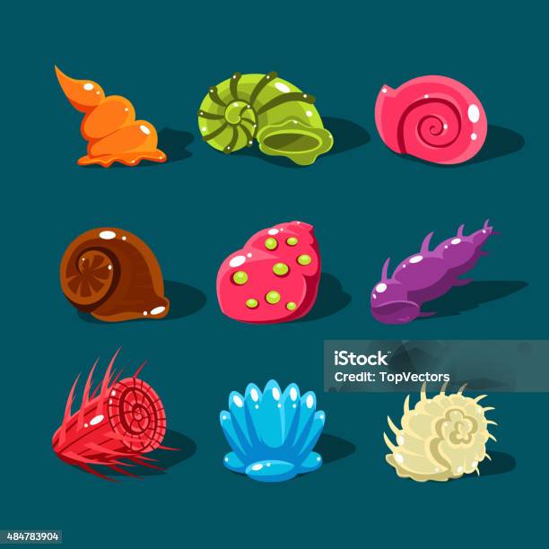 Vector 14 Shells Vector Collection Of Colorful Shells Stock Illustration - Download ...