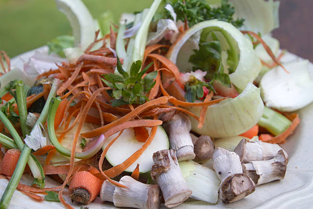 Plate of Vegetable Scraps stock photo