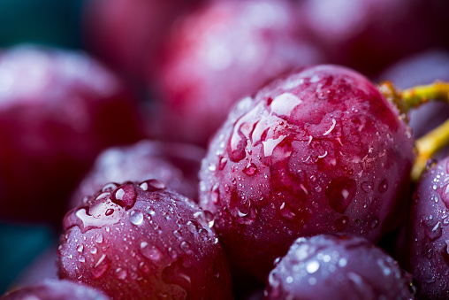 Closeup image of red grape covered in water drops