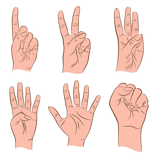 ilustrações, clipart, desenhos animados e ícones de contando número de desenho de mão - hand sign human hand sign language three fingers
