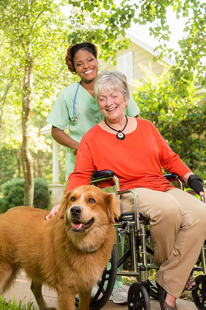 aide familiale, infirmier avec patient senior adulte en plein air. maison de repos. - senior adult dog nursing home pets photos et images de collection