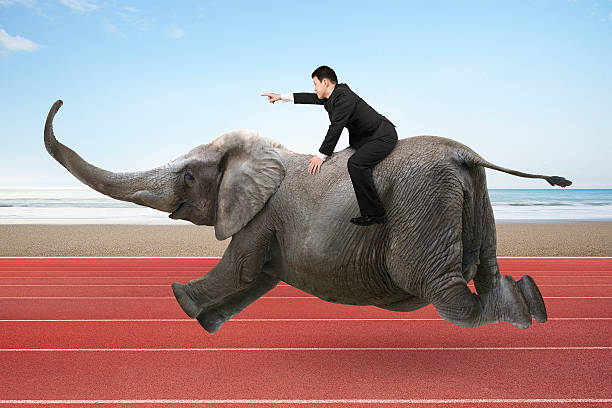 istock Businessman with pointing finger gesture riding on elephant 484796098