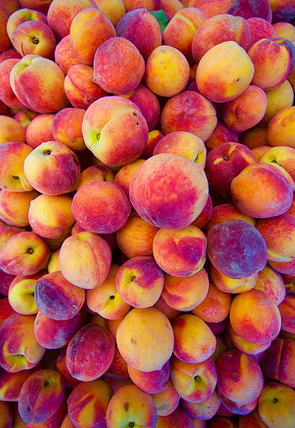 istock Fresh Natural Organic Peaches, Full Frame Organic Food Background 484799822