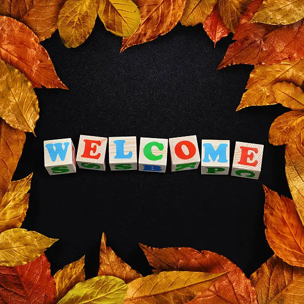 autumn leaves framed schoolboard. Welcome design concept