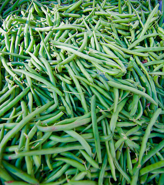istock Fresh Green Runner Beans Vegetable Full Frame Organic Food Background 484800134