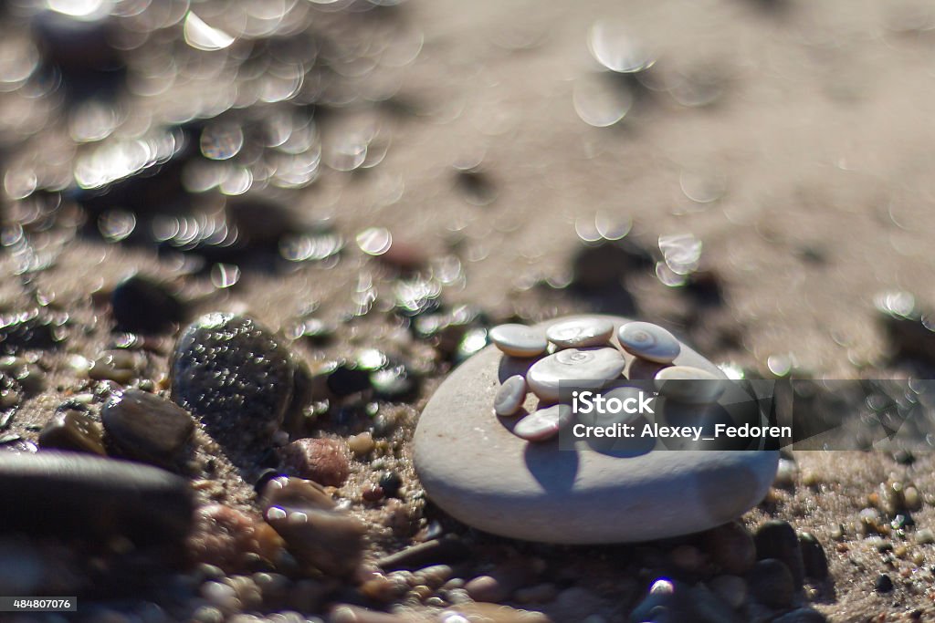 Shells and pebbles on the beach 2015 Stock Photo