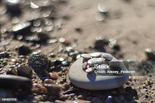 Shells And Pebbles On The Beach Stock Photo - Download Image Now - 2015, Animal Shell, Beach