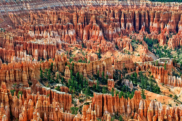 anfiteatro de bryce canyon - bryce canyon national park imagens e fotografias de stock