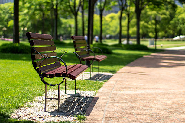 istock chair in park green land 484807804