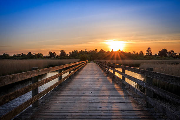 istock Bridge crossing sea at sunset with blue yellow sky 484808326