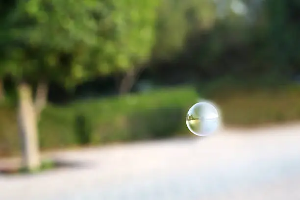 Photo of Soap Bubble on the field