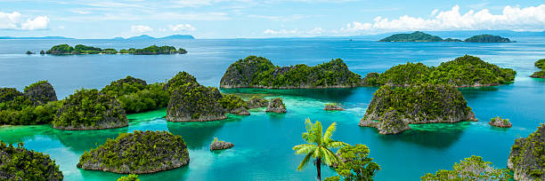 Fam Island in Raja Ampat View on Fam Island in Raja Ampat Indonesia raja stock pictures, royalty-free photos & images