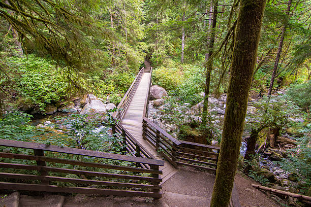 wallace falls caminar 8 - snohomish county fotografías e imágenes de stock