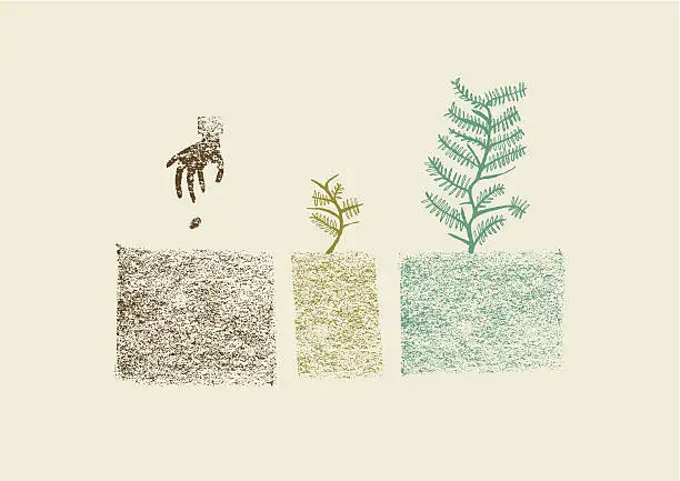 Vector illustration of Hand drawn tree growing process in three steps vector illustration
